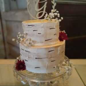 Birch Tree Wedding Cake