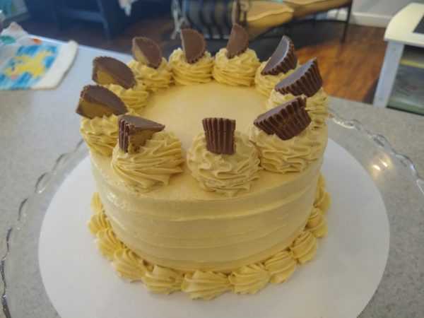 Chocolate Peanut Butter Cup Cake