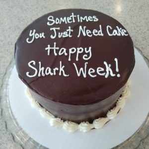 Boston Cream Pie Cake