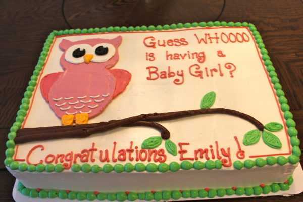 Owl Cake