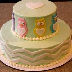 Owl and Chevron Cake