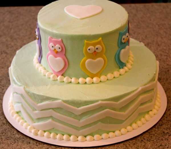 Owl and Chevron Cake