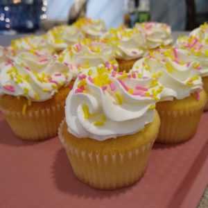 Lemon Raspberry Cupcake