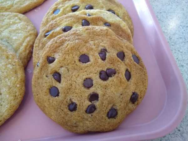 Chocolate Chip Cookies