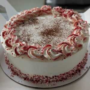 Peppermint Hot Cocoa Cake